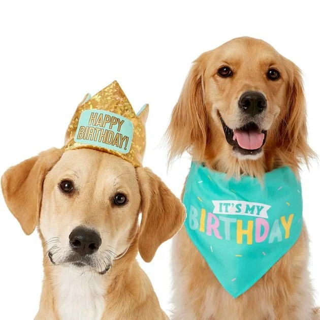 Frisco Happy Birthday Dog & Cat Crown & Frisco Dog & Cat Birthday Bandana, One Size 3 Frisco Happy Birthday Dog & Cat Crown & Frisco Dog & Cat Birthday Bandana, One Size
