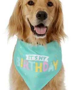 Frisco Happy Birthday Dog & Cat Crown & Frisco Dog & Cat Birthday Bandana, One Size 10 Frisco Happy Birthday Dog & Cat Crown & Frisco Dog & Cat Birthday Bandana, One Size -The Frisco Store 255521 PT3. SY630 V1603716116