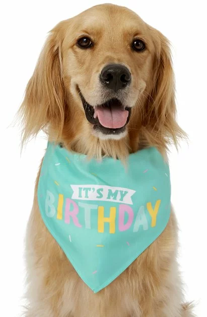 Frisco Happy Birthday Dog & Cat Crown & Frisco Dog & Cat Birthday Bandana, One Size 6 Frisco Happy Birthday Dog & Cat Crown & Frisco Dog & Cat Birthday Bandana, One Size - Image 4