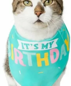 Frisco Happy Birthday Dog & Cat Crown & Frisco Dog & Cat Birthday Bandana, One Size 11 Frisco Happy Birthday Dog & Cat Crown & Frisco Dog & Cat Birthday Bandana, One Size -The Frisco Store 255521 PT4. SY630 V1603716122