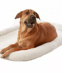 Frisco Heavy Duty Fold & Carry Single Door Collapsible Wire Dog Crate & Frisco Quilted Dog Crate Mat, Ivory -The Frisco Store 255555 PT4. SY630 V1603545106