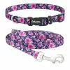 Frisco Midnight Floral Dog Leash & Frisco Midnight Floral Dog Collar -The Frisco Store 255571 MAIN. SY630 V1603545410