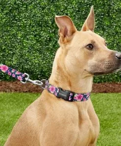 Frisco Midnight Floral Dog Leash & Frisco Midnight Floral Dog Collar 9 Frisco Midnight Floral Dog Leash & Frisco Midnight Floral Dog Collar -The Frisco Store 255571 PT2. SY630 V1603545417