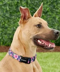 Frisco Midnight Floral Dog Leash & Frisco Midnight Floral Dog Collar 11 Frisco Midnight Floral Dog Leash & Frisco Midnight Floral Dog Collar -The Frisco Store 255571 PT4. SY630 V1603545402