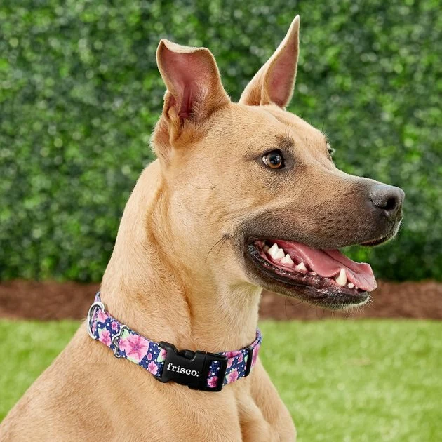 Frisco Midnight Floral Dog Leash & Frisco Midnight Floral Dog Collar 7 Frisco Midnight Floral Dog Leash & Frisco Midnight Floral Dog Collar - Image 5