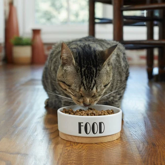 Frisco Ceramic Food Dog & Cat Bowl with Wood Base 5 Frisco Ceramic Food Dog & Cat Bowl with Wood Base - Image 3