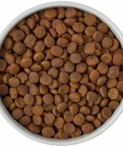 Frisco Ceramic Food Dog & Cat Bowl with Wood Base 14 Frisco Ceramic Food Dog & Cat Bowl with Wood Base -The Frisco Store 256042 PT6. SY630 V1615317399