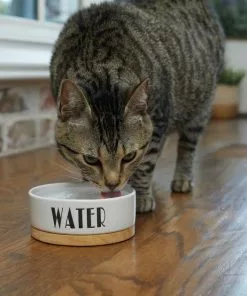 Frisco Ceramic Water Dog & Cat Bowl with Wood Base 9 Frisco Ceramic Water Dog & Cat Bowl with Wood Base -The Frisco Store 256046 PT2. SY630 V1616167029