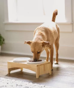 Frisco Ceramic Dog & Cat Double Diner with Elevated Wood Stand, 1.87 Cups -The Frisco Store 256052 PT2. SY630 V1615311142