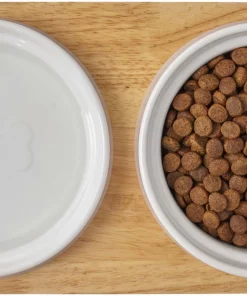 Frisco Ceramic Dog & Cat Double Diner with Elevated Wood Stand, 1.87 Cups -The Frisco Store 256052 PT6. SY630 V1615311469