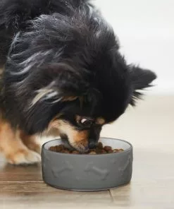 Frisco Bones Non-skid Ceramic Dog & Cat Bowl, Gray 11 Frisco Bones Non-skid Ceramic Dog & Cat Bowl, Gray -The Frisco Store 256063 PT2. SY630 V1626186231