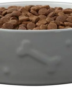 Frisco Bones Non-skid Ceramic Dog & Cat Bowl, Gray 12 Frisco Bones Non-skid Ceramic Dog & Cat Bowl, Gray -The Frisco Store 256063 PT3. SY630 V1616508727