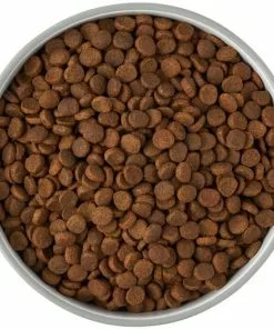 Frisco Bones Non-skid Ceramic Dog & Cat Bowl, Gray 14 Frisco Bones Non-skid Ceramic Dog & Cat Bowl, Gray -The Frisco Store 256063 PT5. SY630 V1616508997