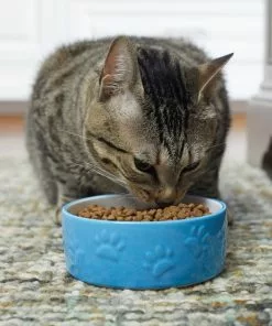 Frisco Paw Prints Non-skid Ceramic Dog & Cat Bowl, Blue 11 Frisco Paw Prints Non-skid Ceramic Dog & Cat Bowl, Blue -The Frisco Store 256067 PT2. SY630 V1616166987