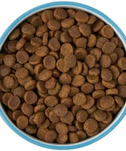 Frisco Paw Prints Non-skid Ceramic Dog & Cat Bowl, Blue 14 Frisco Paw Prints Non-skid Ceramic Dog & Cat Bowl, Blue -The Frisco Store 256067 PT6. SY630 V1615313517