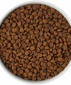 Frisco Paw Prints Non-skid Ceramic Bowl, 7.75 Cups -The Frisco Store 256072 PT5. SY630 V1615312318