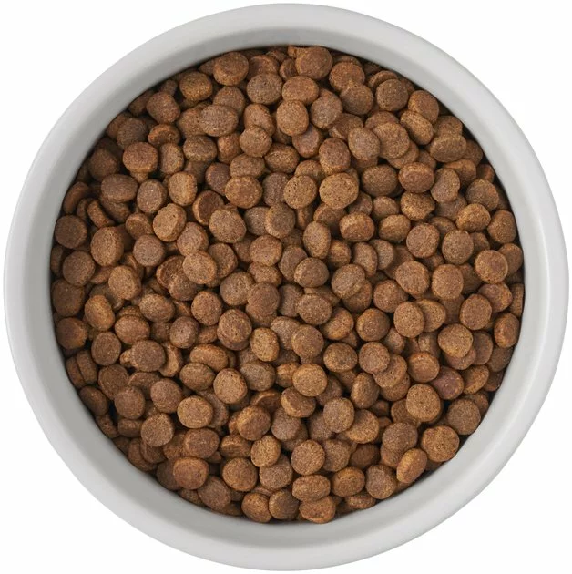 Frisco Bones Non-skid Ceramic Dog & Cat Bowl 8 Frisco Bones Non-skid Ceramic Dog & Cat Bowl - Image 6