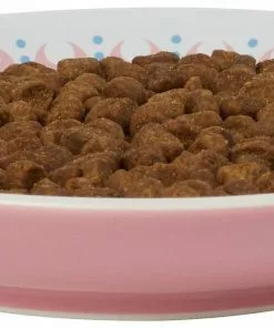 Frisco Kaleidoscope Pattern Non-skid Ceramic Cat Dish, Pink, 0.62 Cup -The Frisco Store 256084 PT4. SY630 V1618494759