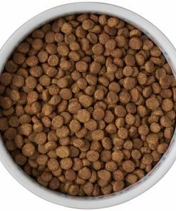 Frisco Kaleidoscope Pattern Non-skid Ceramic Cat Dish, Pink, 1.62 Cup -The Frisco Store 256086 PT5. SY630 V1615310802