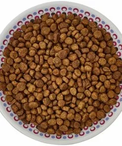 Frisco Kaleidoscope Pattern Non-skid Ceramic Cat Dish, Purple, 0.62 Cup 13 Frisco Kaleidoscope Pattern Non-skid Ceramic Cat Dish, Purple, 0.62 Cup -The Frisco Store 256088 PT5. SY630 V1617042699