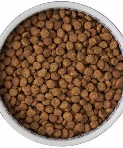 Frisco Kaleidoscope Pattern Non-skid Ceramic Cat Dish, Purple, 1.62 Cup -The Frisco Store 256090 PT5. SY630 V1615312887