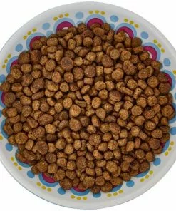 Frisco Kaleidoscope Pattern Non-skid Ceramic Cat Dish, Blue, 0.62 Cup -The Frisco Store 256092 PT5. SY630 V1617042691