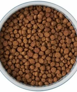 Frisco Kaleidoscope Pattern Non-skid Ceramic Cat Dish, Blue, 1.62 Cups 13 Frisco Kaleidoscope Pattern Non-skid Ceramic Cat Dish, Blue, 1.62 Cups -The Frisco Store 256094 PT5. SY630 V1615312042