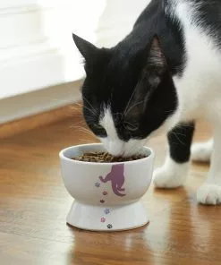 Frisco Cat Print Non-skid Elevated Ceramic Cat Bowl, Short, 1.0 Cup -The Frisco Store 256096 PT2. SY630 V1616522571