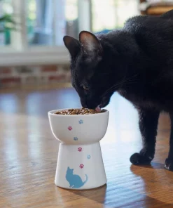 Frisco Cat Print Non-skid Elevated Ceramic Cat Bowl, Tall 10 Frisco Cat Print Non-skid Elevated Ceramic Cat Bowl, Tall -The Frisco Store 256098 PT2. SY630 V1616522547