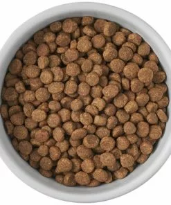 Frisco Cat Print Non-skid Elevated Ceramic Cat Bowl, Tall 12 Frisco Cat Print Non-skid Elevated Ceramic Cat Bowl, Tall -The Frisco Store 256098 PT4. SY630 V1616522549