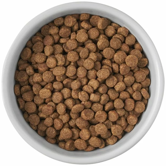 Frisco Cat Print Non-skid Elevated Ceramic Cat Bowl, Tall 7 Frisco Cat Print Non-skid Elevated Ceramic Cat Bowl, Tall - Image 5