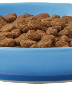 Frisco Cat Face Non-skid Ceramic Cat Dish, Blue, 0.50 Cup -The Frisco Store 256101 PT4. SY630 V1617130592