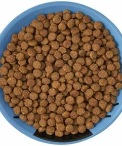 Frisco Cat Face Non-skid Ceramic Cat Dish, Blue, 0.50 Cup -The Frisco Store 256101 PT5. SY630 V1615321282