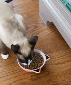 Frisco Cat Face Non-skid Ceramic Cat Bowl, Pink, 1.12 Cups 9 Frisco Cat Face Non-skid Ceramic Cat Bowl, Pink, 1.12 Cups -The Frisco Store 256107 PT2. SY630 V1616522589