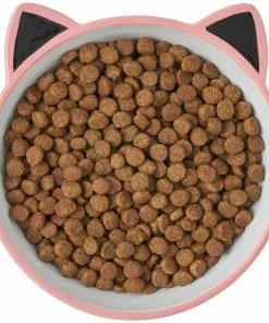Frisco Cat Face Non-skid Ceramic Cat Bowl, Pink, 1.12 Cups 11 Frisco Cat Face Non-skid Ceramic Cat Bowl, Pink, 1.12 Cups -The Frisco Store 256107 PT5. SY630 V1616522494