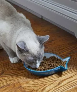 Frisco Fish Shaped Non-skid Ceramic Cat Dish, 0.62 Cups -The Frisco Store 256109 PT3. SY630 V1617196297