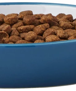 Frisco Fish Shaped Non-skid Ceramic Cat Dish, 0.62 Cups -The Frisco Store 256109 PT4. SY630 V1617196291