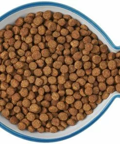 Frisco Fish Shaped Non-skid Ceramic Cat Dish, 0.62 Cups -The Frisco Store 256109 PT6. SY630 V1617196895