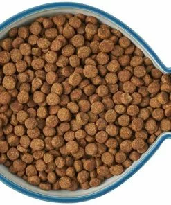 Frisco Fish Shaped Non-skid Ceramic Cat Bowl, 1.37 Cups -The Frisco Store 256111 PT5. SY630 V1616522555