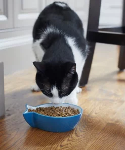Frisco Fish Shaped Non-skid Ceramic Cat Bowl, 1.37 Cups -The Frisco Store 256111 PT6. SY630 V1617037703