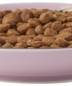 Frisco Paris Non-skid Ceramic Cat Dish, 0.62 Cup -The Frisco Store 256115 PT5. SY630 V1618494743