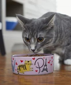 Frisco Paris Non-skid Ceramic Cat Dish, 1.62 Cup 10 Frisco Paris Non-skid Ceramic Cat Dish, 1.62 Cup -The Frisco Store 256117 PT2. SY630 V1615311397
