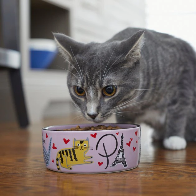 Frisco Paris Non-skid Ceramic Cat Dish, 1.62 Cup 5 Frisco Paris Non-skid Ceramic Cat Dish, 1.62 Cup - Image 3