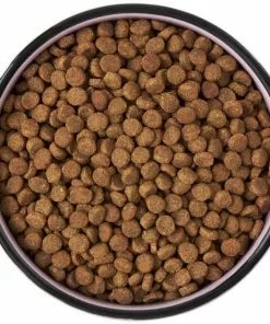 Frisco Paris Non-skid Ceramic Cat Dish, 1.62 Cup 13 Frisco Paris Non-skid Ceramic Cat Dish, 1.62 Cup -The Frisco Store 256117 PT5. SY630 V1615311392