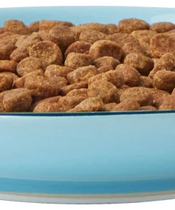 Frisco New York Non-skid Ceramic Cat Dish, 0.62 Cup -The Frisco Store 256119 PT5. SY630 V1618494742