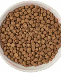 Frisco Marble Design Non-skid Ceramic Cat Bowl, 1.25 Cups 14 Frisco Marble Design Non-skid Ceramic Cat Bowl, 1.25 Cups -The Frisco Store 256125 PT5. SY630 V1615311382