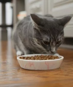 Frisco Marble Design Non-skid Ceramic Cat Bowl, 1.25 Cups 15 Frisco Marble Design Non-skid Ceramic Cat Bowl, 1.25 Cups -The Frisco Store 256125 PT6. SY630 V1617037714