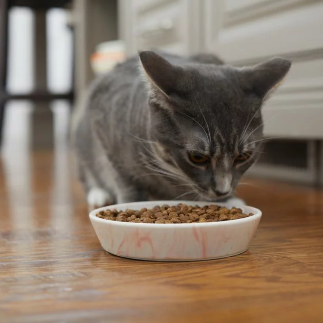 Frisco Marble Design Non-skid Ceramic Cat Bowl, 1.25 Cups 9 Frisco Marble Design Non-skid Ceramic Cat Bowl, 1.25 Cups - Image 7