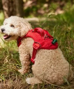 Frisco Outdoor Premium Ripstop Nylon Dog Harness with Pocket 11 Frisco Outdoor Premium Ripstop Nylon Dog Harness with Pocket -The Frisco Store 256481 PT5. SY630 V1625589623