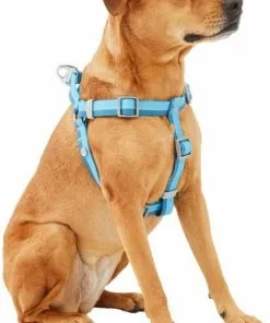Frisco Outdoor Two Tone Waterproof Stinkproof PVC Dog Harness 9 Frisco Outdoor Two Tone Waterproof Stinkproof PVC Dog Harness -The Frisco Store 256565 PT2. SY630 V1625165009